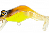 Tape-X_0010_Spotted Brown Frog copy