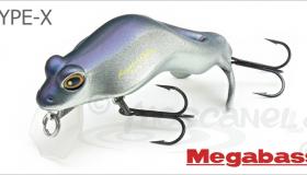 TYPE-X MEGABASS