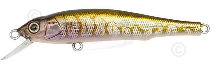 Воблер MEGABASS X-70 jerkbait (GG Tongyo F)