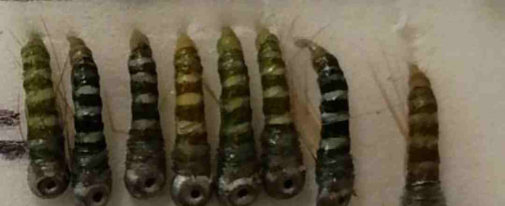 Нимфа Шитик № 14