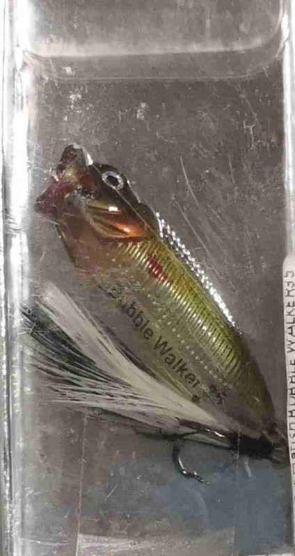 Воблер Amafish BUBBLE WALKER35  Длина:35мм  Вес:1.8гр  Заглубление :TOP WATER цвет:G04