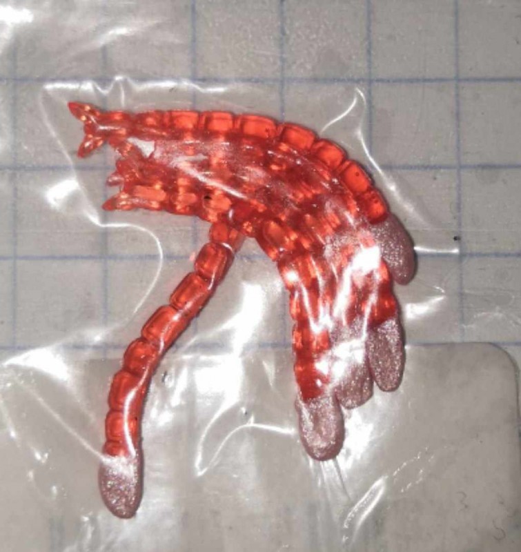 Мотыль большой красный светонак. голова 