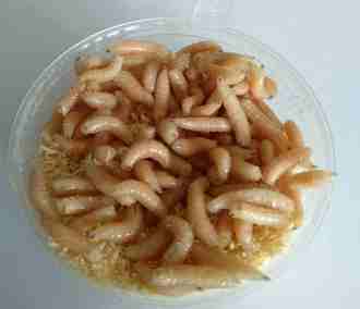 Опарыш белый ( банка )